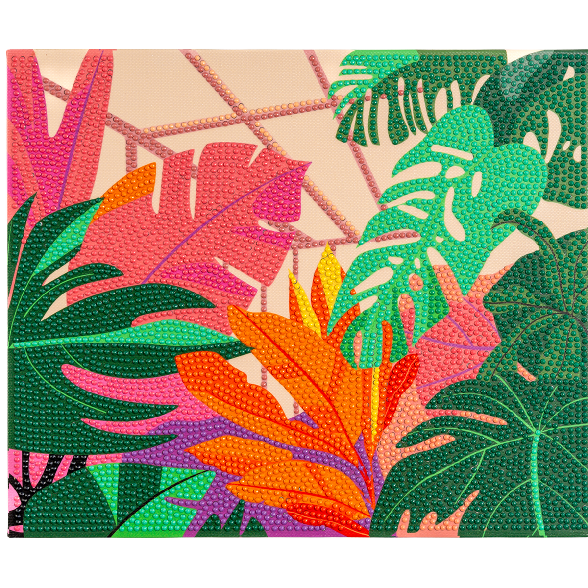 PixelPop - Reset Kit - Orangery by House of Party